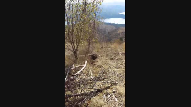 sikici20  24-11-2023 Recorded Video big