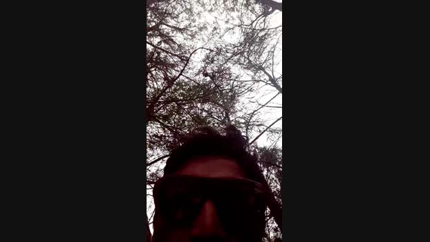 Automotivo23  25-11-2023 Recorded Video sweet