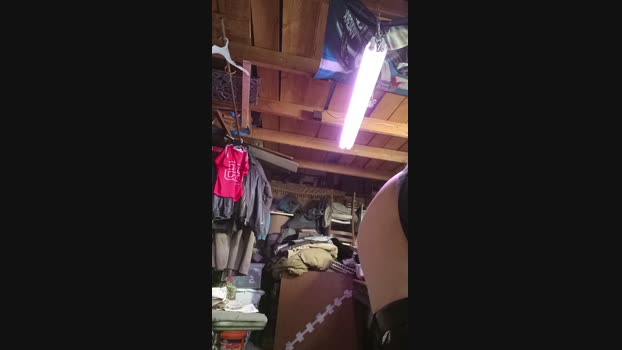thompson3  25-11-2023 Recorded Video Show