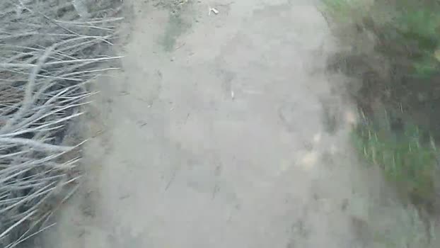 Pabloysebas  25-11-2023 Recorded Video naughty