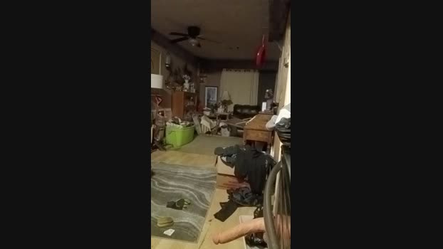 thompson3  26-11-2023 Recorded Video bigdick