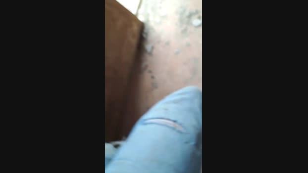 Ribeirosiebes  27-11-2023 Recorded Video bj-dildo