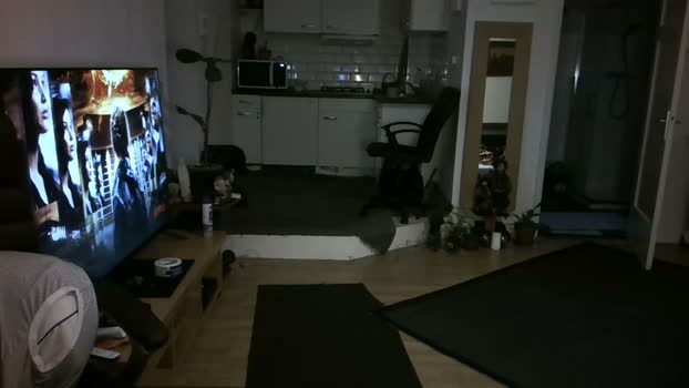 mihaimichael  26-11-2023 Recorded Video Ass