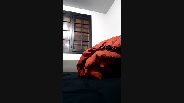 Dickwolf91  27-11-2023 Recorded Video Topless