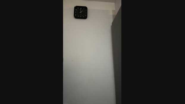 Megatrontron  29-11-2023 Recorded Video naughty