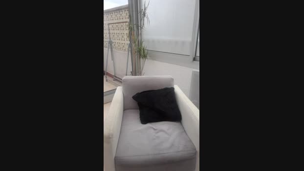 Showcatalan1  29-11-2023 Recorded Video sweet