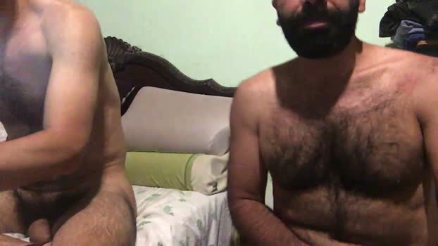 hairies1981  29-11-2023 Recorded Video Download