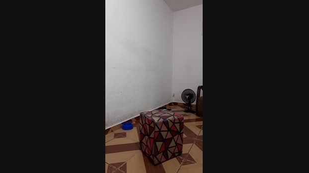 Guyfavelado193 30-11-2023 Recorded Video dirty
