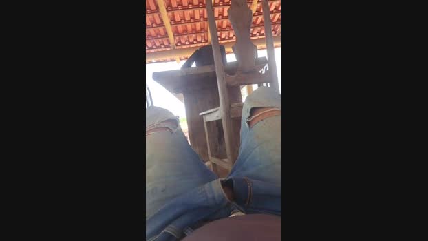 Ribeirosiebes 30-11-2023 Recorded Video wank