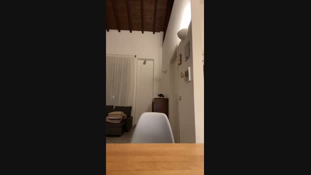 Bigwhitebull 30-11-2023 Recorded Video fuckass