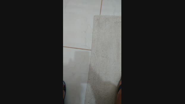 Peedroca 01-12-2023 Recorded Video Cam