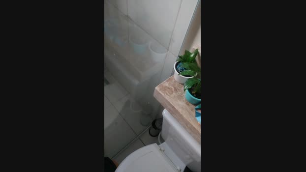 Peedroca 01-12-2023 Recorded Video fuckface