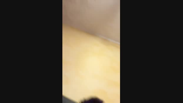 BEI0 02-12-2023 Recorded Video kiss