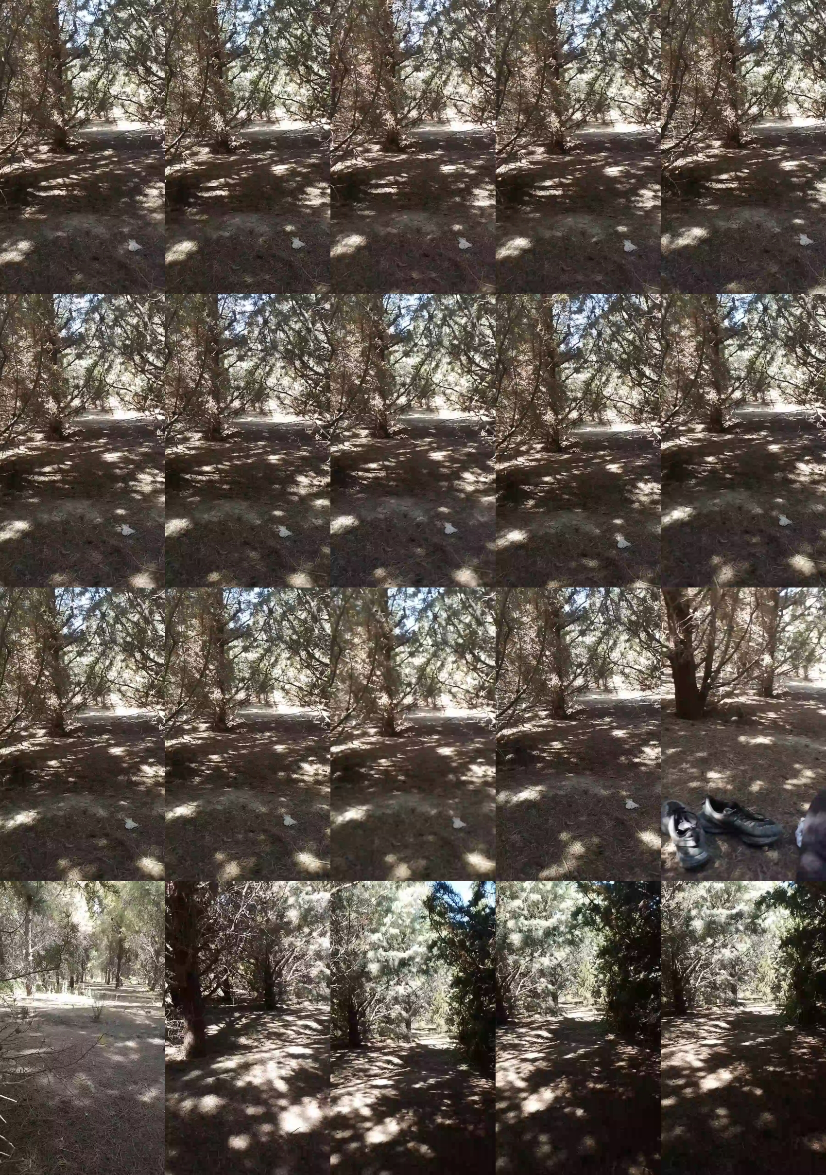 Laoquedad 01-12-2023 Recorded Video bigballs