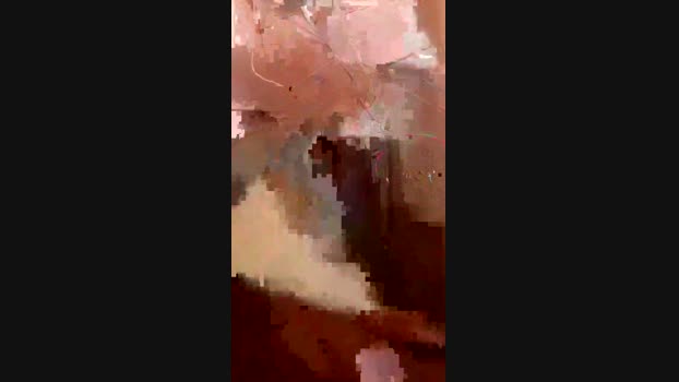 alis81 02-12-2023 Recorded Video sex