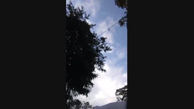 weimeixi 02-12-2023 Recorded Video orgasm