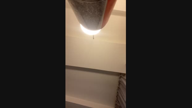 Locodice9 03-12-2023 Recorded Video beautiful