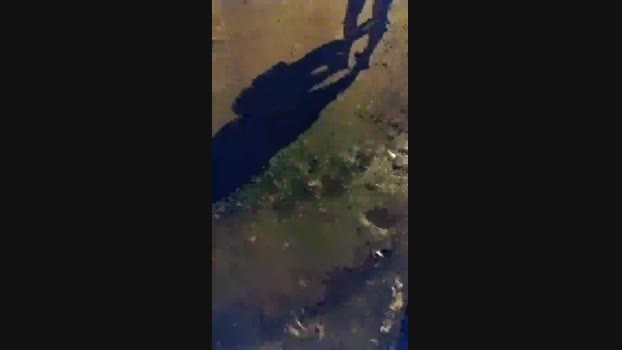 PauRosado88