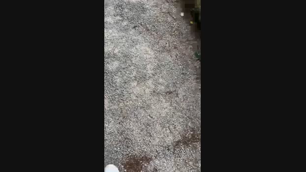danicloud1 04-12-2023 Recorded Video kink