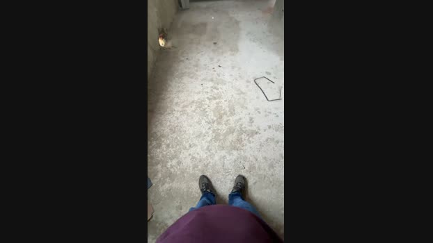 Tiagm44 05-12-2023 Recorded Video Webcam