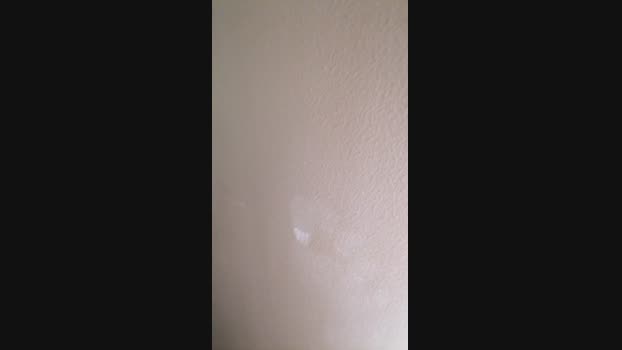 Toylocasoxx03 06-12-2023 Recorded Video gay