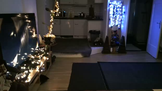 mihaimichael 06-12-2023 Recorded Video bicurious