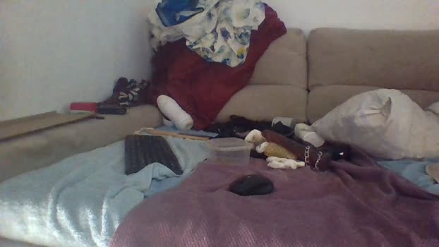Canarito30 08-12-2023 Recorded Video analsex