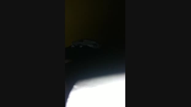 Peedroca 08-12-2023 Recorded Video Download