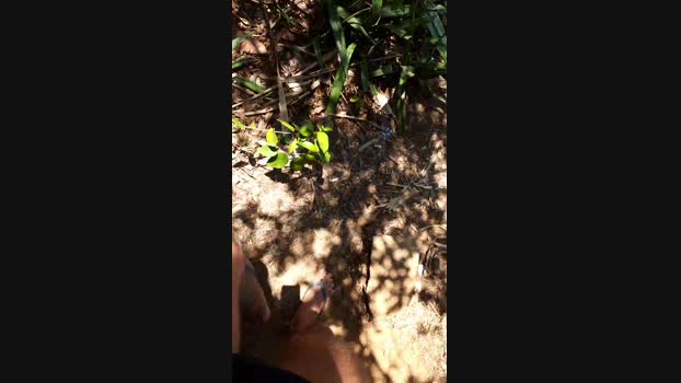 recoblue22cm 08-12-2023 Recorded Video jerking