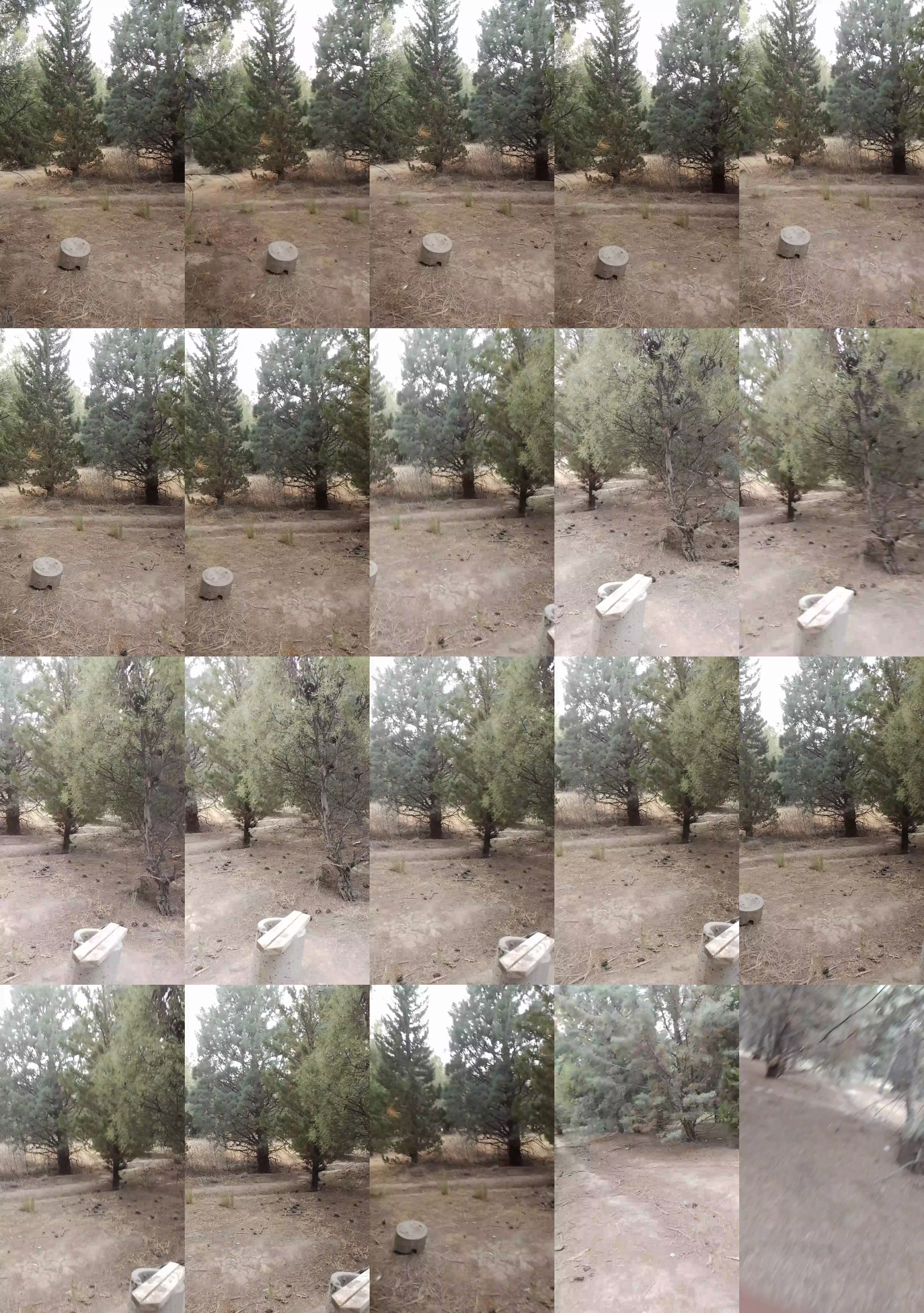 Laoquedad 08-12-2023 Recorded Video harddick