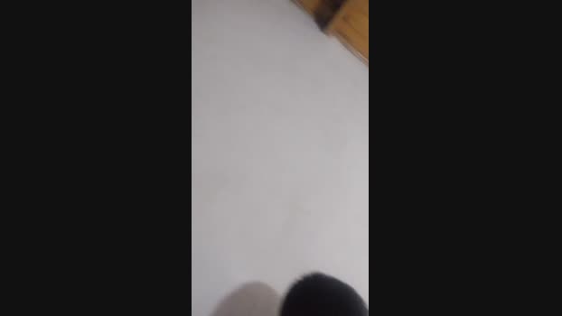 Lihue85 10-12-2023 Recorded Video jackoff