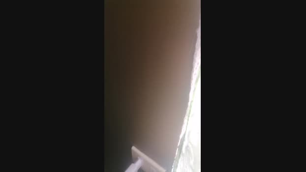 Toylocasoxx03 10-12-2023 Recorded Video dirty