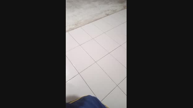 ponche12 10-12-2023 Recorded Video harddick