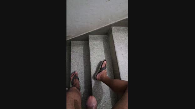 segurancaroludo 10-12-2023 Recorded Video skinny