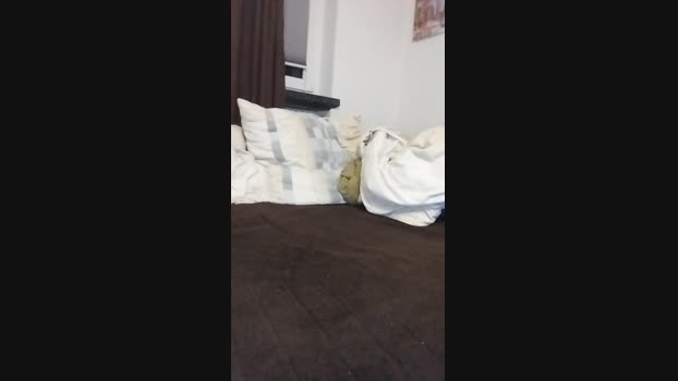 Adelinedaniel 10-12-2023 Recorded Video sexymale