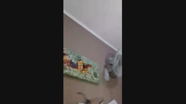 Nino5355 11-12-2023 Recorded Video amateur