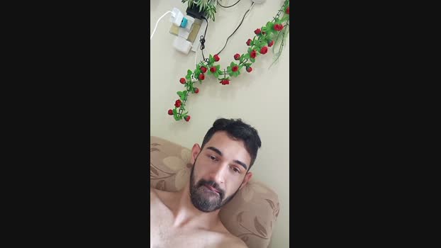 Novidadeon