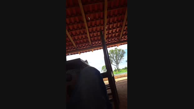 Ribeirosiebes 11-12-2023 Recorded Video sweet