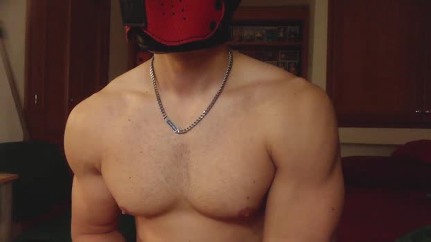 Frabroker 12-12-2023 Recorded Video toy