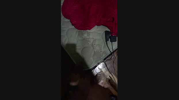 Samukahot18 13-12-2023 Recorded Video analsex