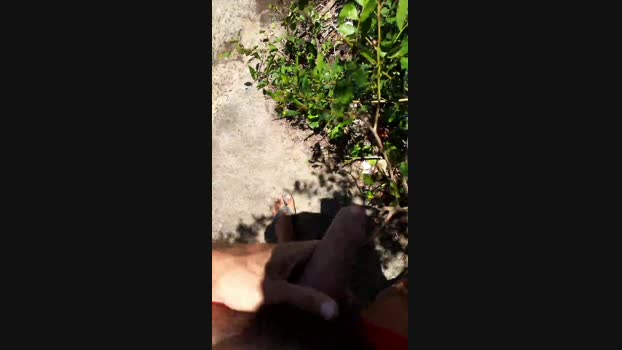 recoblue22cm 14-12-2023 Recorded Video beautiful