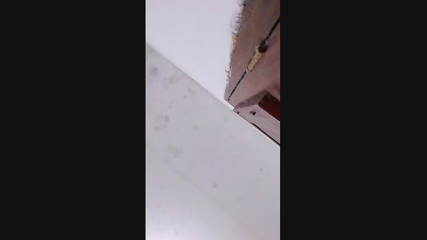 amigo140 17-12-2023 Recorded Video Recorded