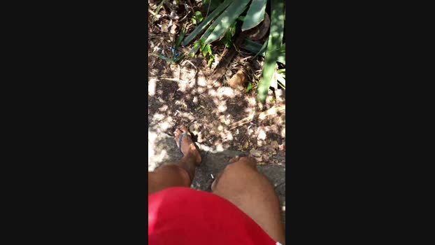 recoblue22cm 17-12-2023 Recorded Video playtime