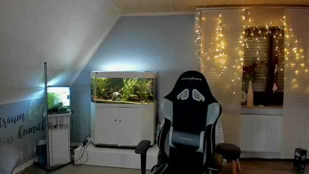 ronhill13 17-12-2023 Recorded Video wank