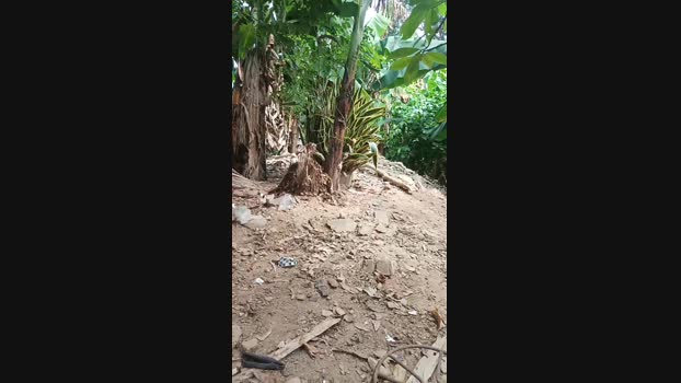 Dirtypig_boys22 21-12-2023 Recorded Video play