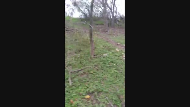 keithlwoods 21-12-2023 Recorded Video fingers