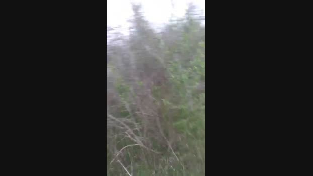 keithlwoods 21-12-2023 Recorded Video bigload