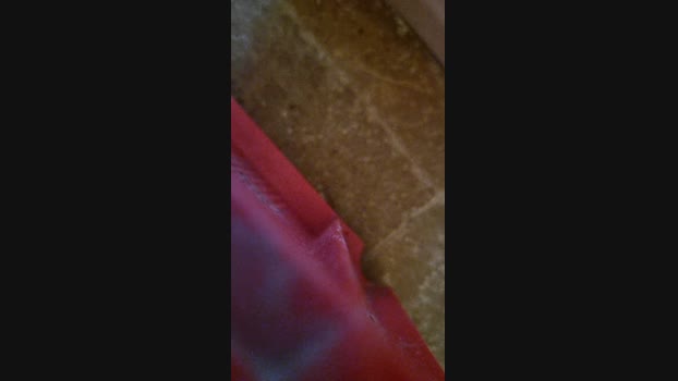 stipe 22-12-2023 Recorded Video gay