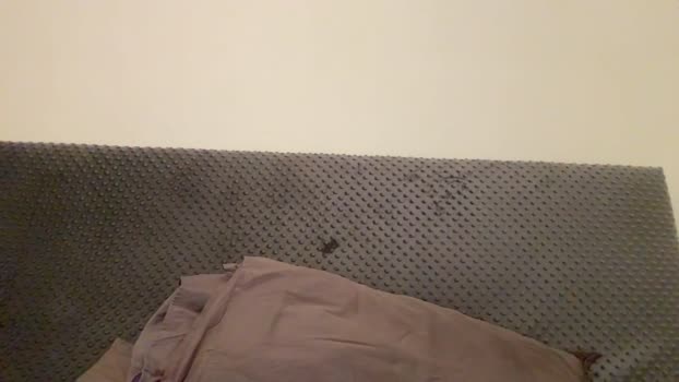 Thony_Grey 23-12-2023 Recorded Video suck