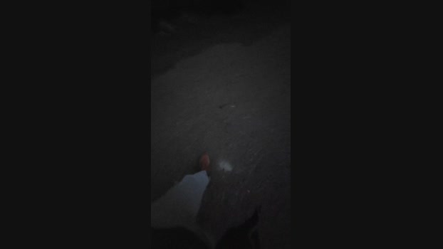 rayo56 22-12-2023 Recorded Video jerkoff